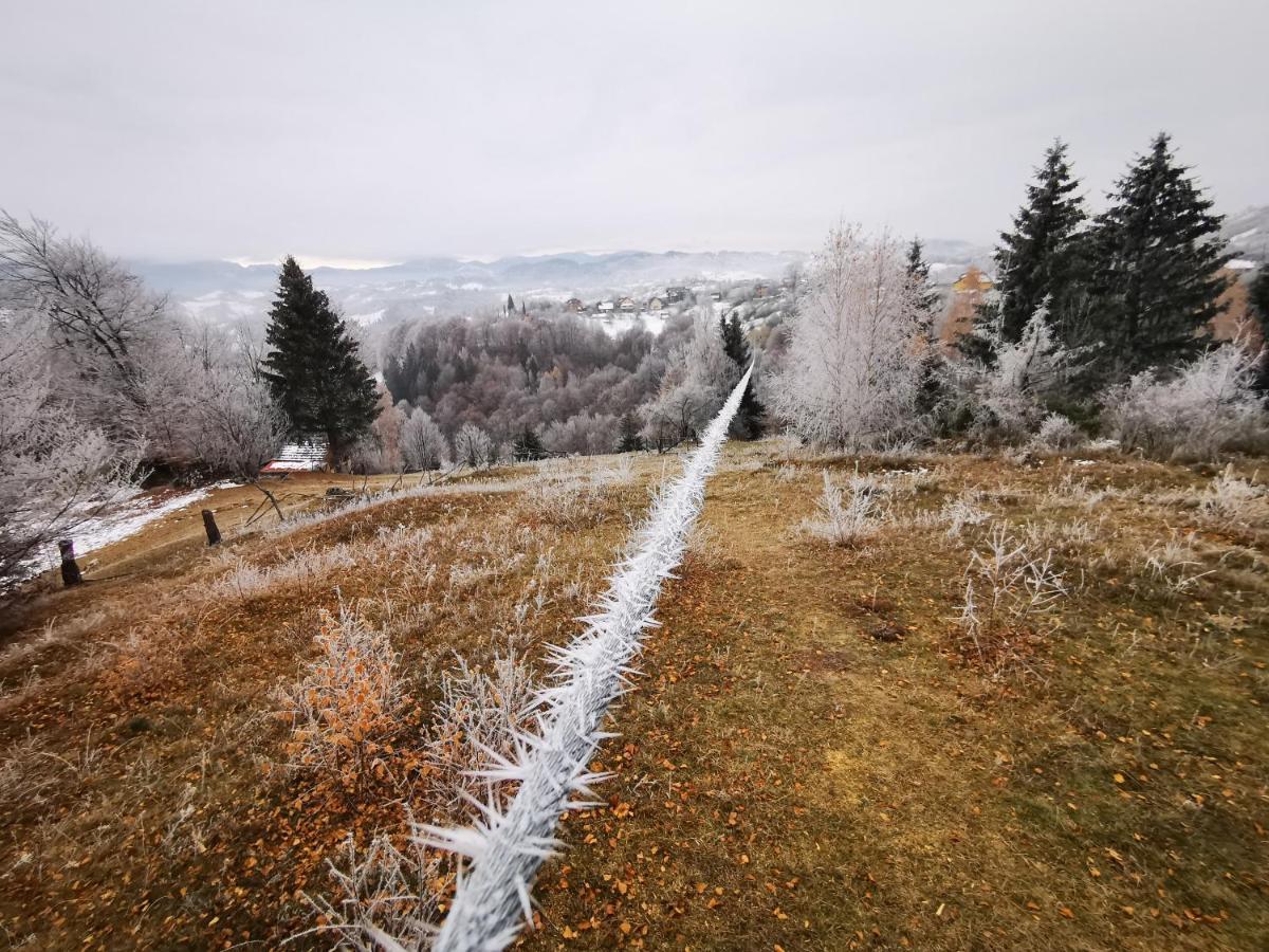 Pensiunea Tabacaru Peştera Buitenkant foto