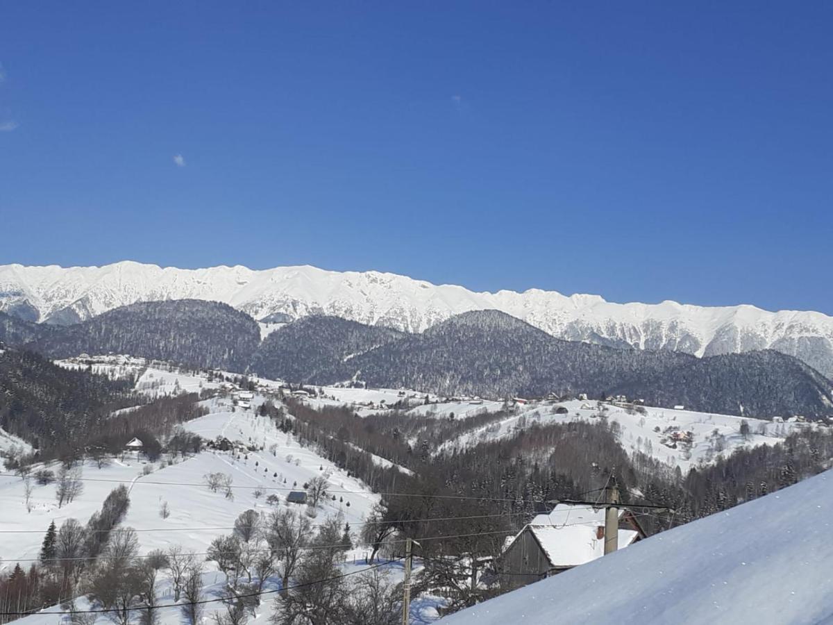 Pensiunea Tabacaru Peştera Buitenkant foto