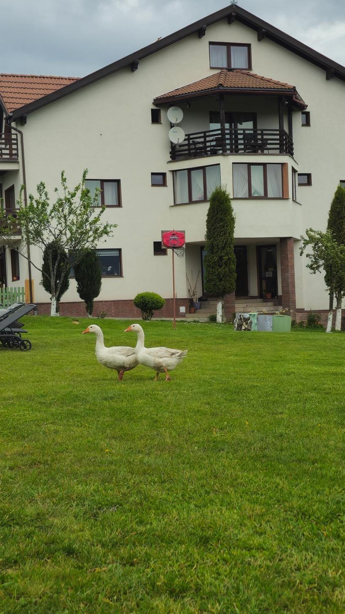 Pensiunea Tabacaru Peştera Buitenkant foto