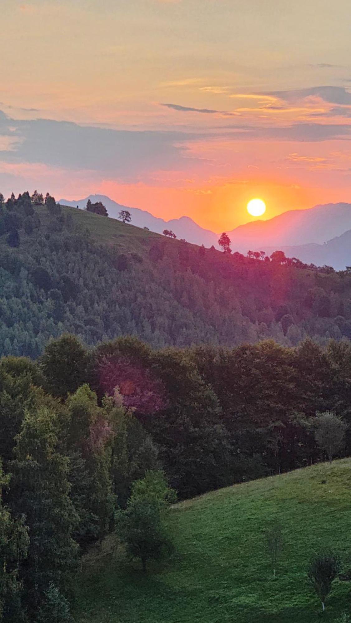 Pensiunea Tabacaru Peştera Buitenkant foto