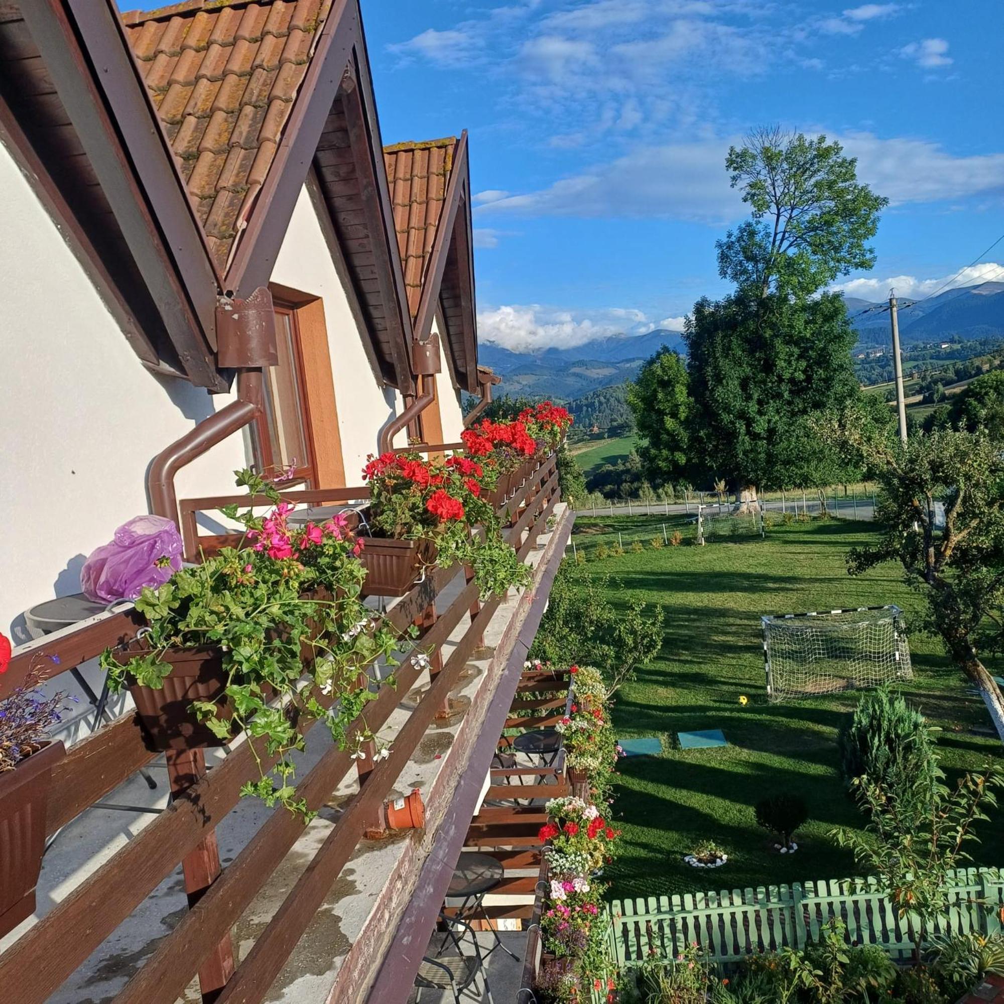 Pensiunea Tabacaru Peştera Buitenkant foto