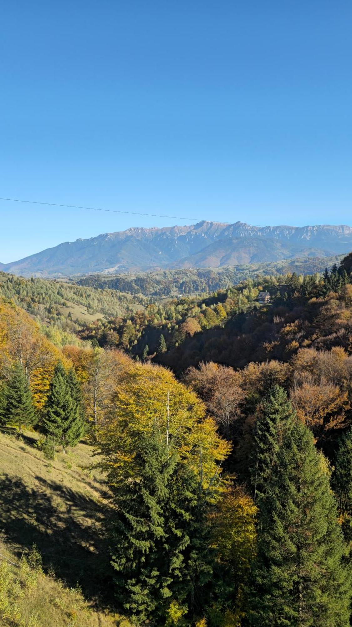 Pensiunea Tabacaru Peştera Buitenkant foto