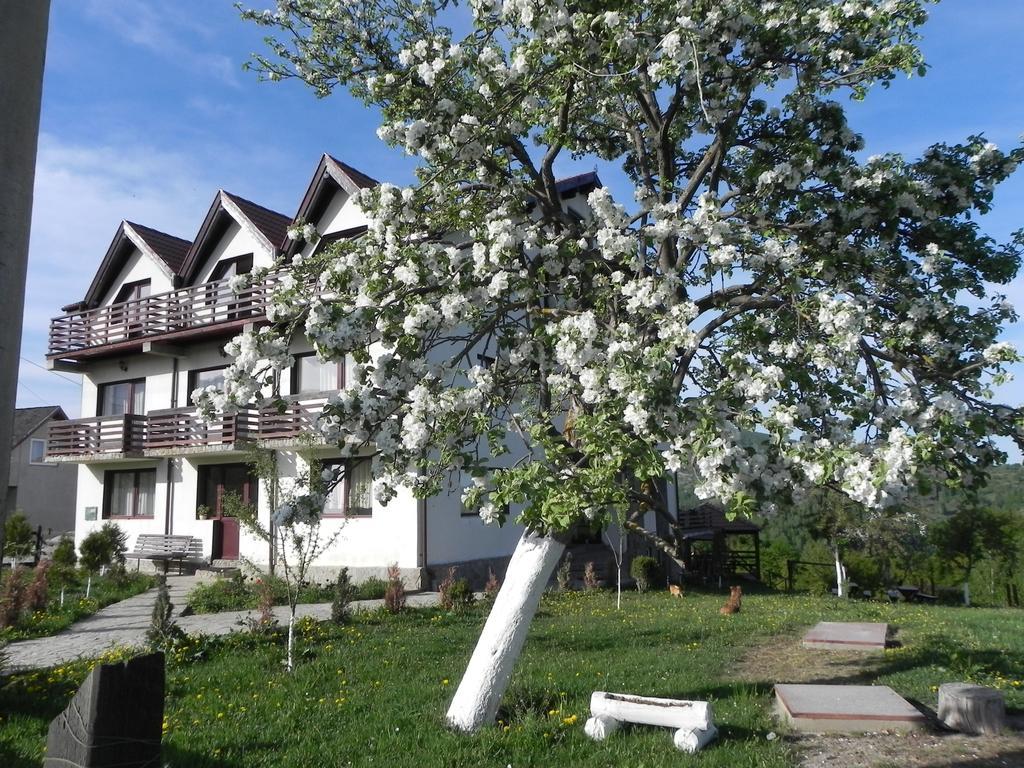 Pensiunea Tabacaru Peştera Buitenkant foto