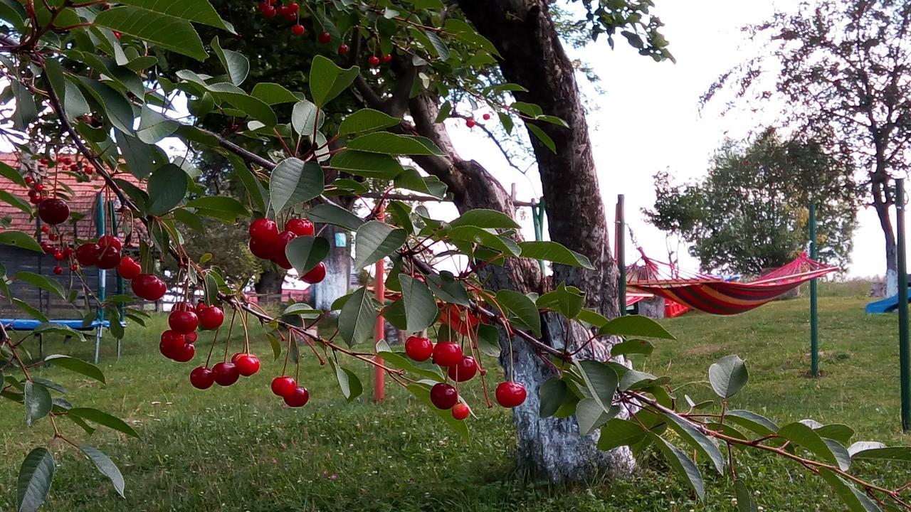 Pensiunea Tabacaru Peştera Buitenkant foto