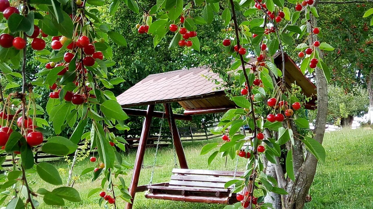 Pensiunea Tabacaru Peştera Buitenkant foto