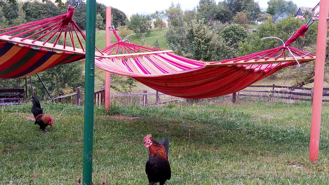 Pensiunea Tabacaru Peştera Buitenkant foto