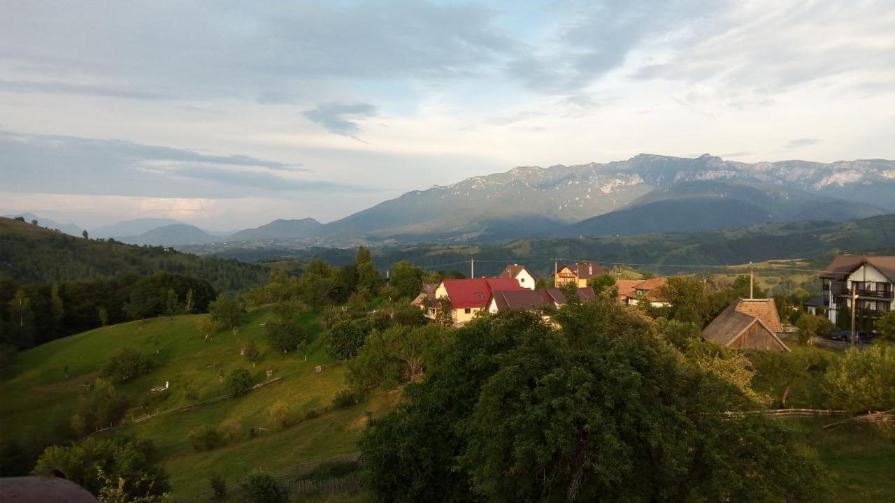 Pensiunea Tabacaru Peştera Buitenkant foto