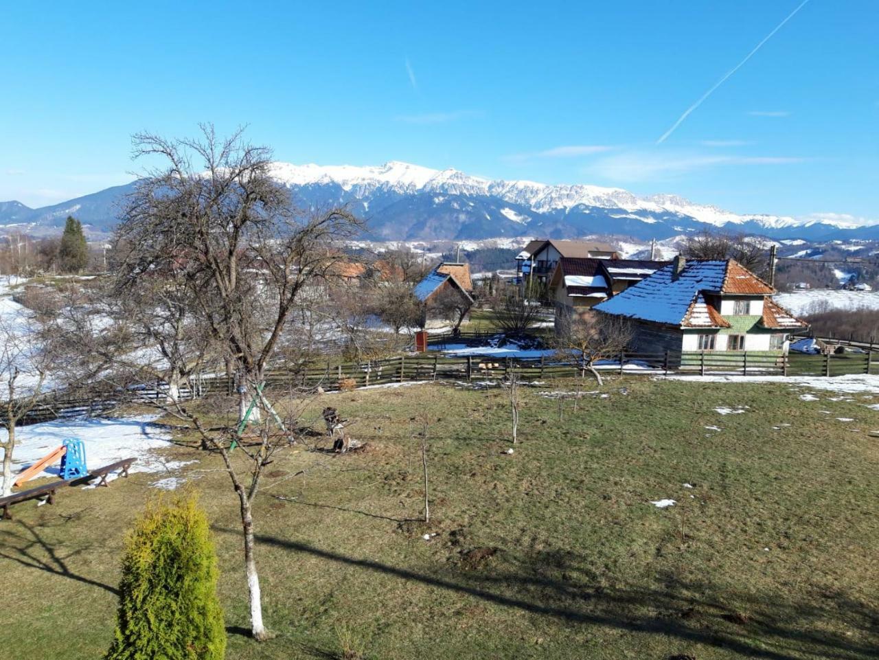 Pensiunea Tabacaru Peştera Buitenkant foto