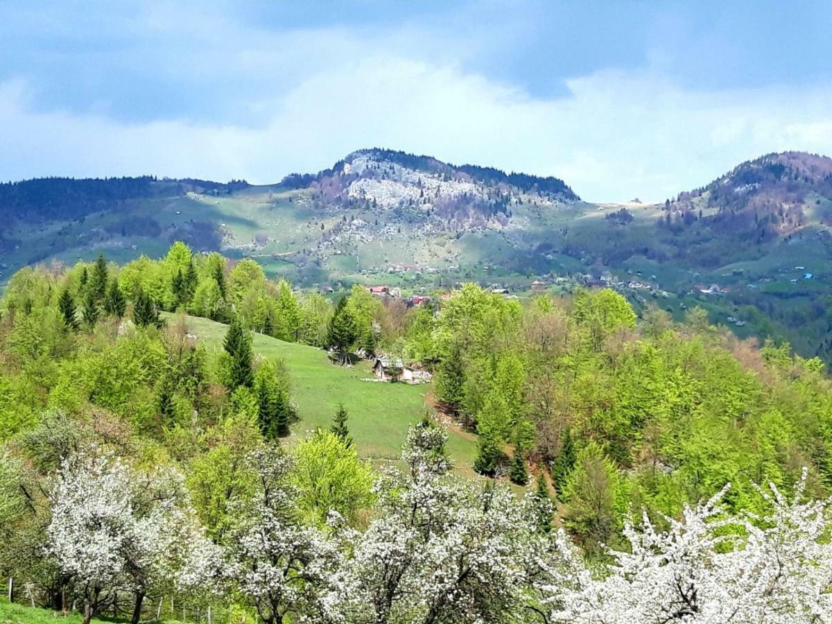 Pensiunea Tabacaru Peştera Buitenkant foto