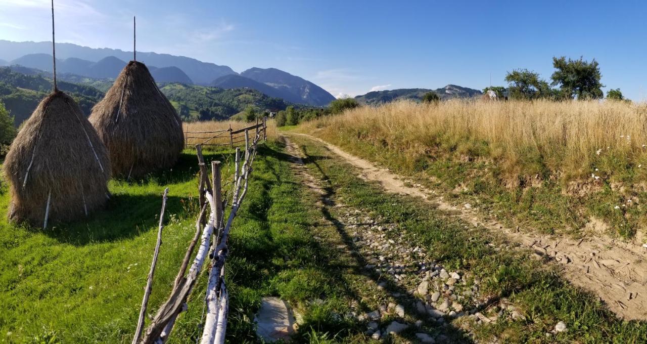 Pensiunea Tabacaru Peştera Buitenkant foto