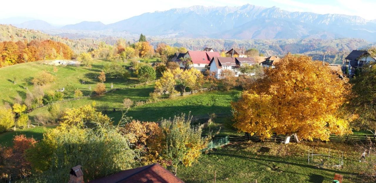 Pensiunea Tabacaru Peştera Buitenkant foto